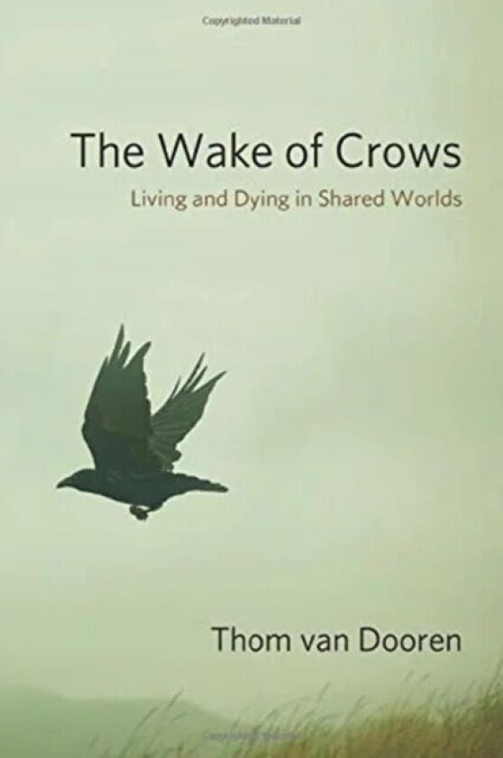 The Wake of Crows av Thom van Dooren