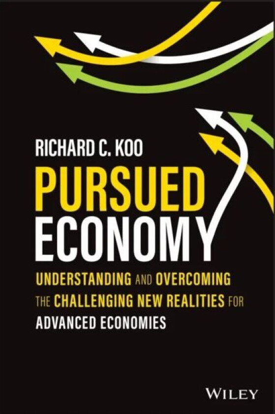 Pursued Economy av Richard C. Koo