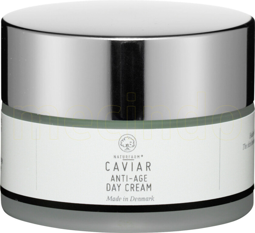 Anti-Age Day Cream