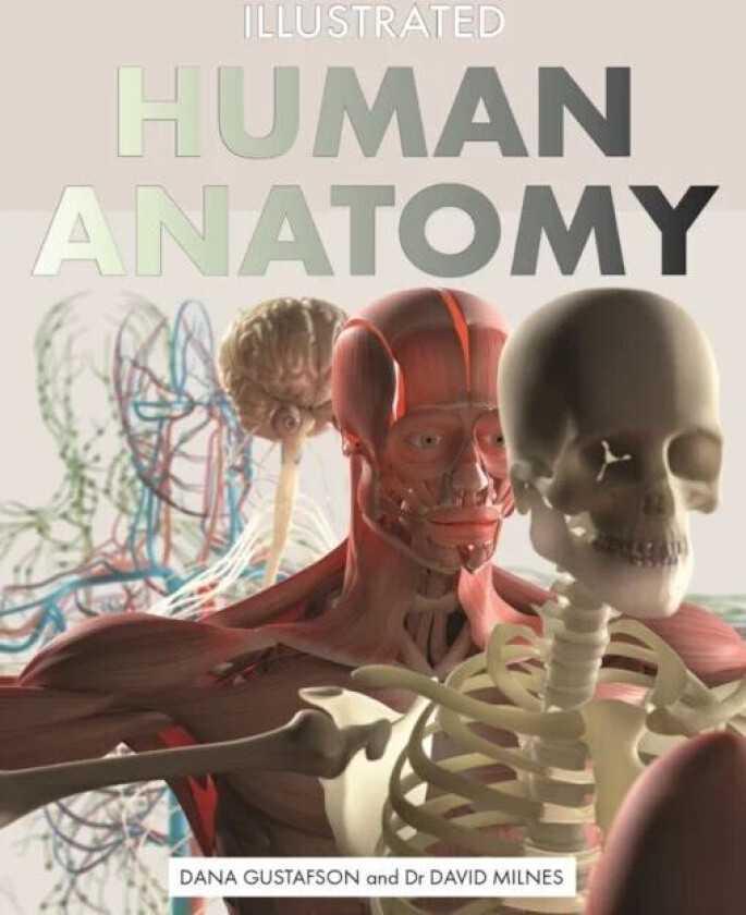 Illustrated Human Anatomy av Dana Gustafson