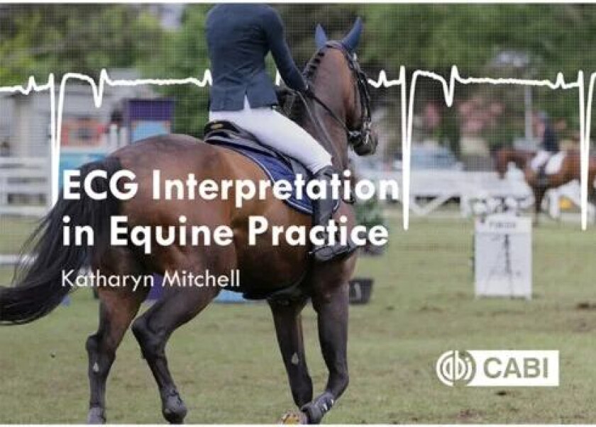 ECG Interpretation in Equine Practice av Katharyn (University of Zurich Switzerland) Mitchell