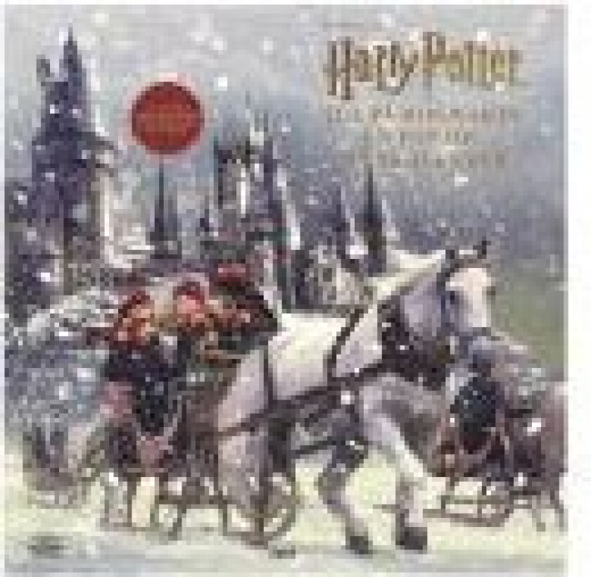 Harry Potter Julekalender Dansk/Danish