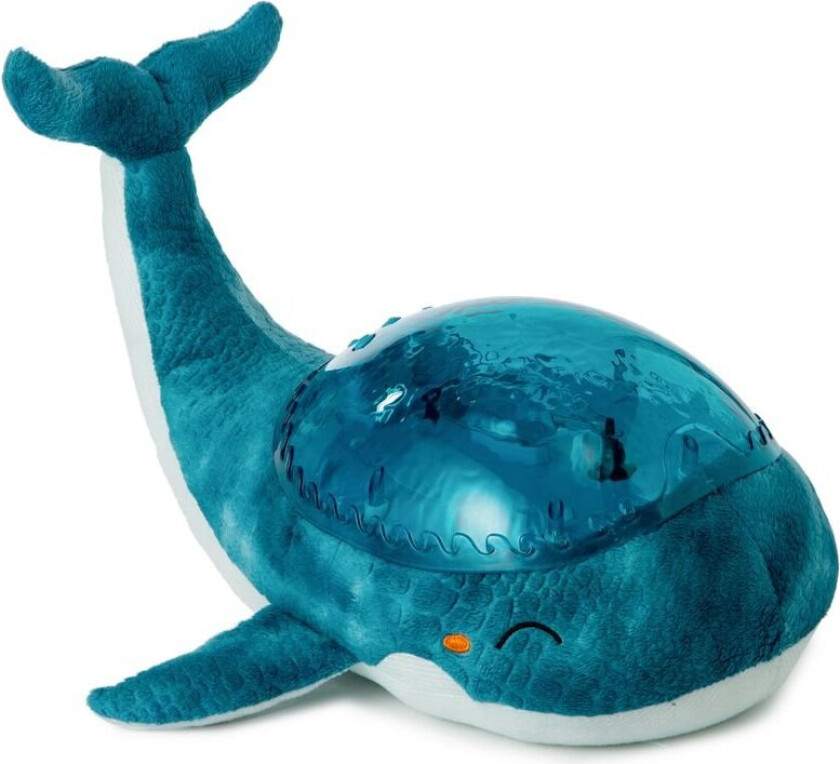 - Tranquil Whale, Blue - (CB7901-WB)