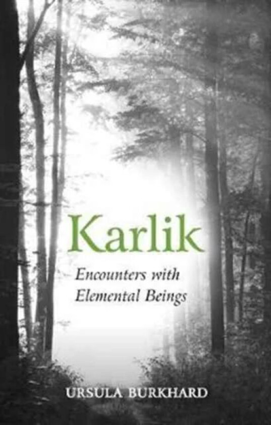 Karlik av Ursula Burkhard