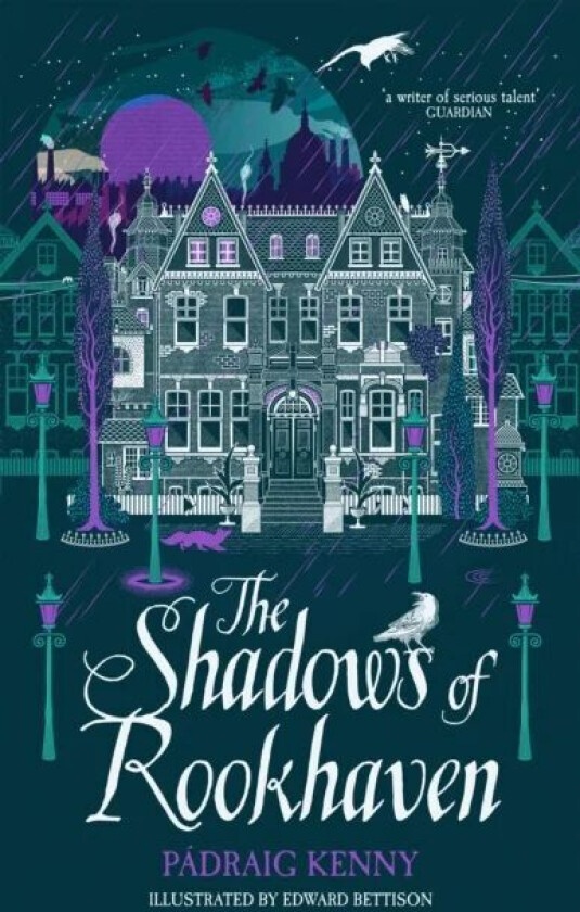 The Shadows of Rookhaven av Padraig Kenny