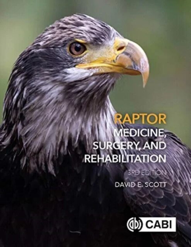 Raptor Medicine, Surgery, and Rehabilitation av Dr David (Veterinarian Carolina Raptor Cen Scott