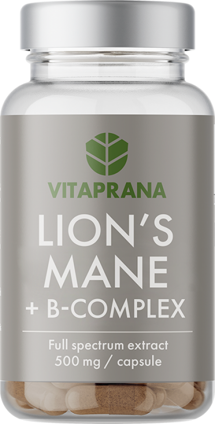 Lion´s Mane + B complex, 50 capsules