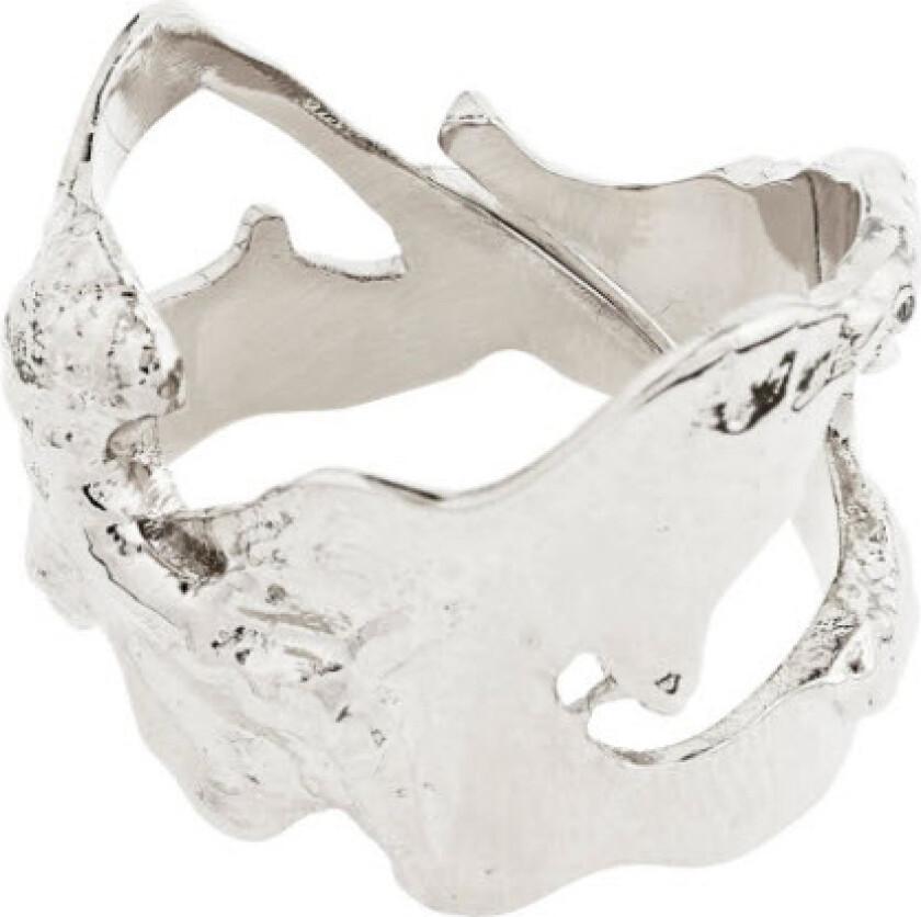 Compass Organic Shaped - - - - -