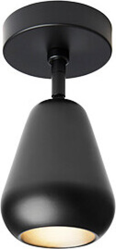 - Anoli Spot Surface Vegg-/Taklampe Black/Black