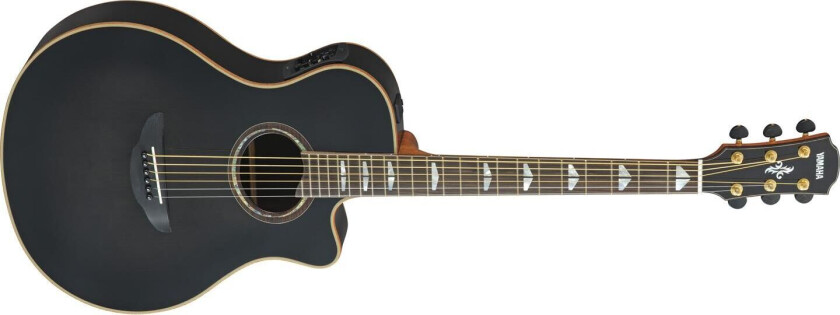 Apx1200ii Tbl Akustisk Gitar Med Elektronikk