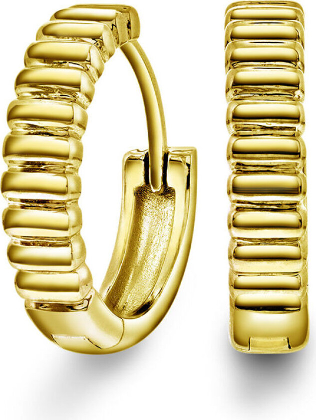 , Øreringer i 925 forgylt sølv