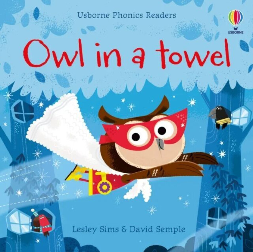 Owl in a Towel av Lesley Sims