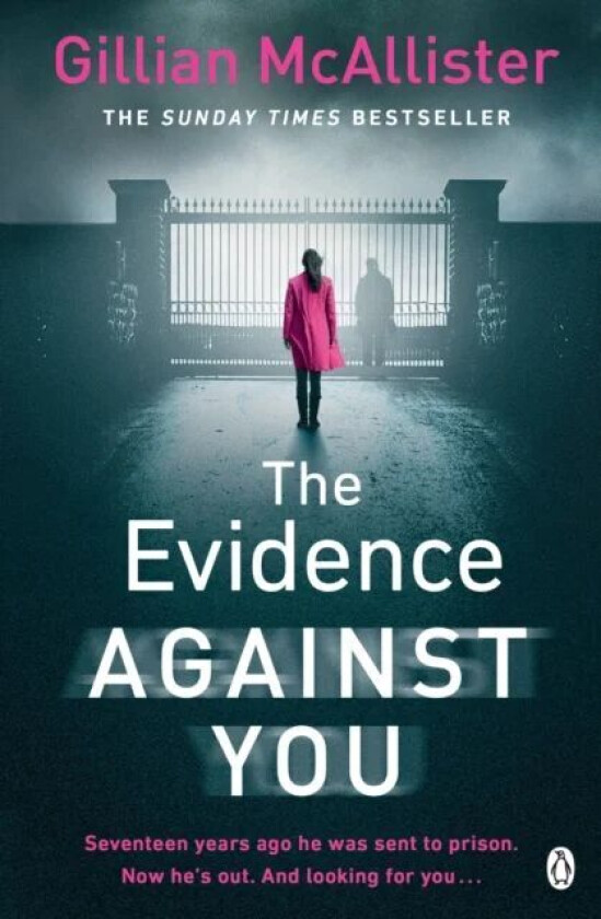 The Evidence Against You av Gillian McAllister