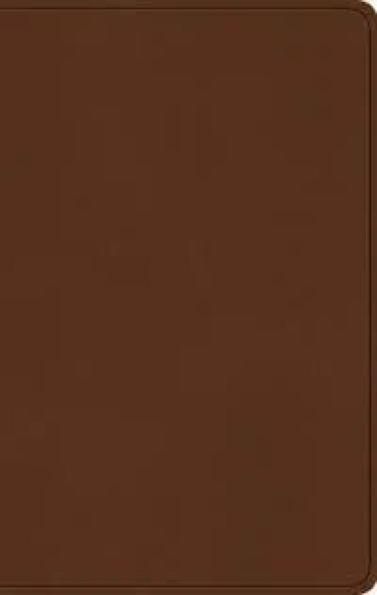 ESV Large Print Value Thinline Bible