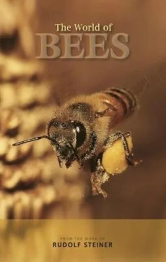 The World of Bees av Rudolf Steiner