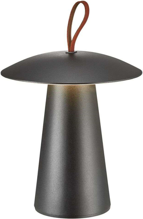 - Ara To Go LED Utendørslampe Black