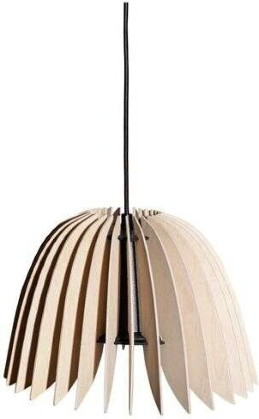 - Verna 34 Pendel Birch