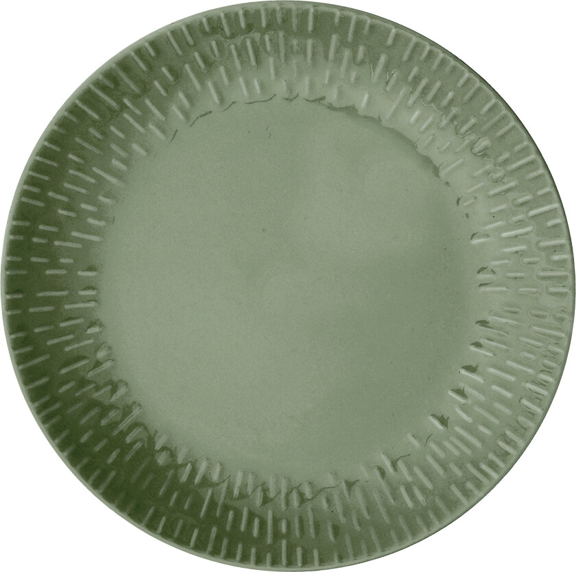 - Life in Colour - Confetti Olive lunch plate w/relief porcelain (13406)