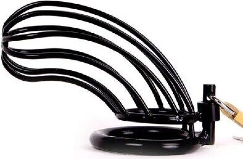 Kiotos Bird Cage Chastity Cage Black Kyskhetsbur