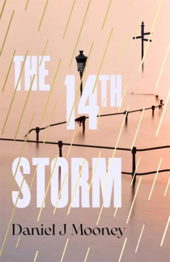 The 14th Storm av Daniel J Mooney