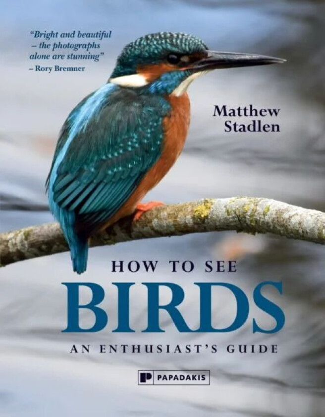 How to See Birds av Matthew Stadlen