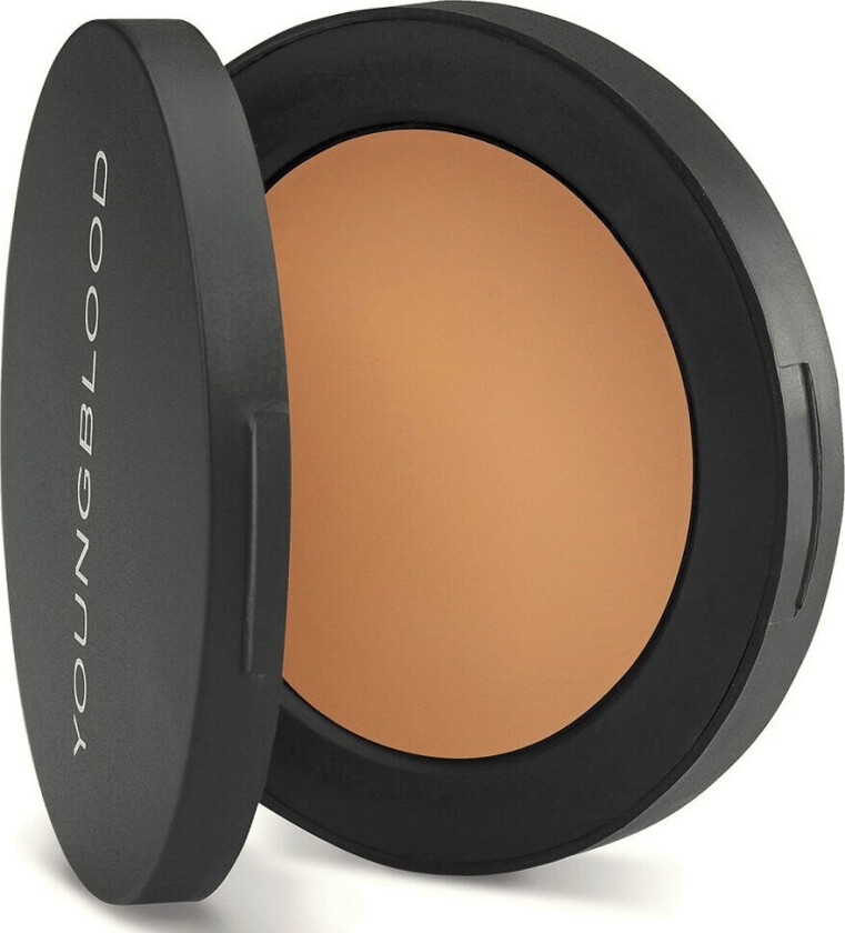 Ultimate Concealer - Tan 2 g