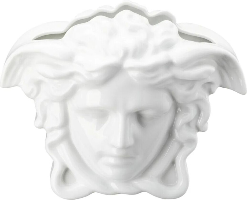 Medusa Grande vase 21 cm Hvit
