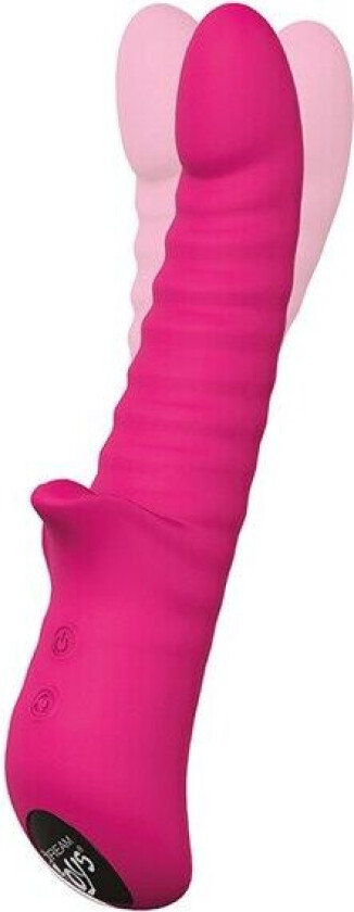 Dream Toys Honey Bear Magenta Vibrator