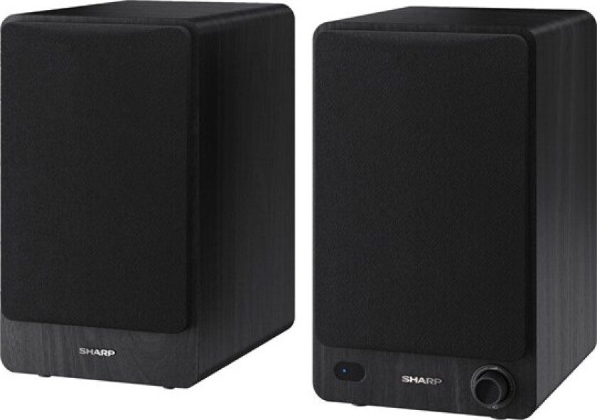 CP-SS30 - speakers - wireless