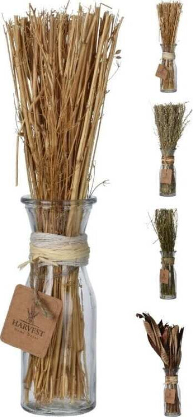 DEKORATIVT GRESS I 4 TYPER VASE