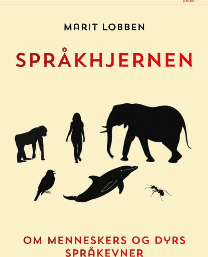 Språkhjernen av Marit Lobben