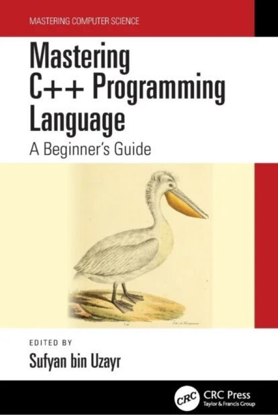 Mastering C++ Programming Language
