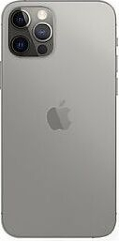 Lofoten Deksel iPhone 12 Pro Max