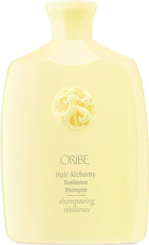 Hair Alchemy Resilience Shampoo 250 ml