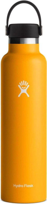 24 Oz Standard Flex Cap Starfish 710 ml