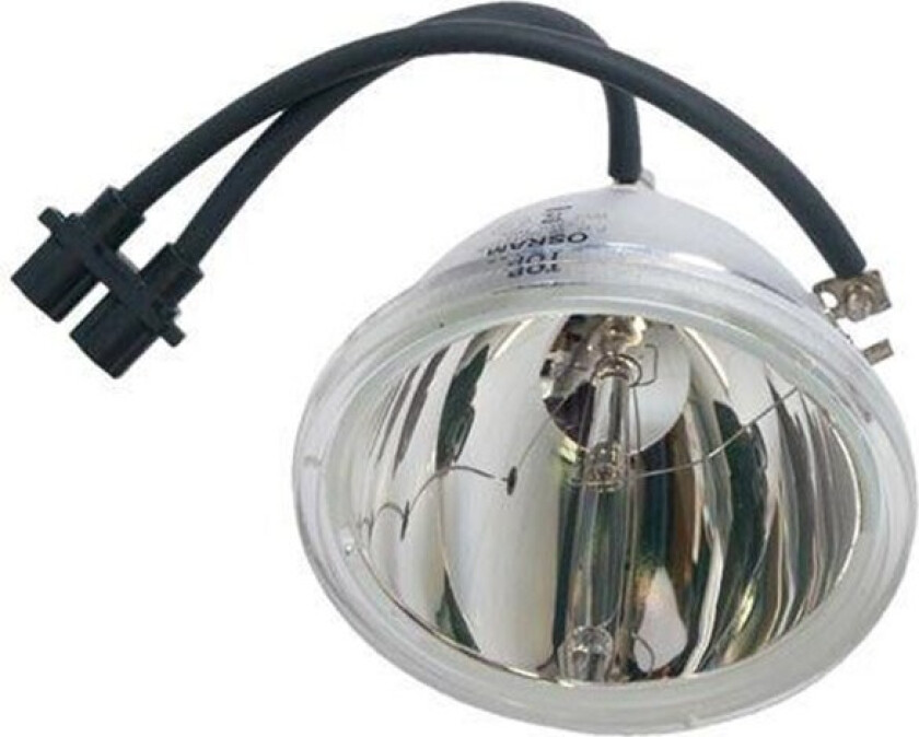 projektorlampe