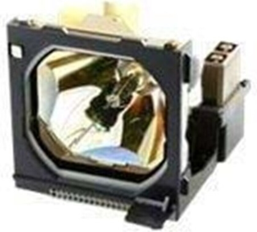 projektorlampe
