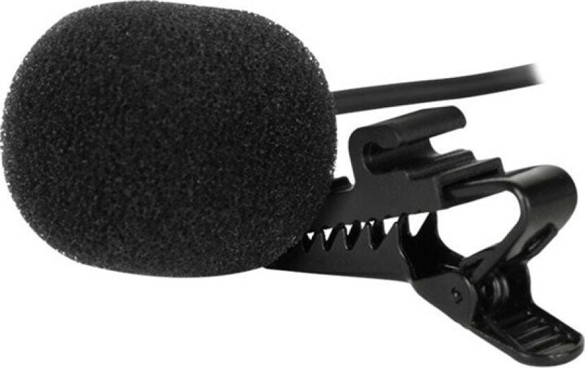 SM1 - mikrofon