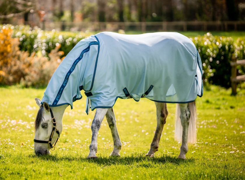 Amigo Bug Rug Fly Sheet (0g Light) - Azure Blue/Navy & Electric Blue (130cm (6'0"))