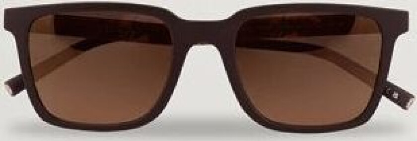 Mr. Federer Sunglasses Matte Umber