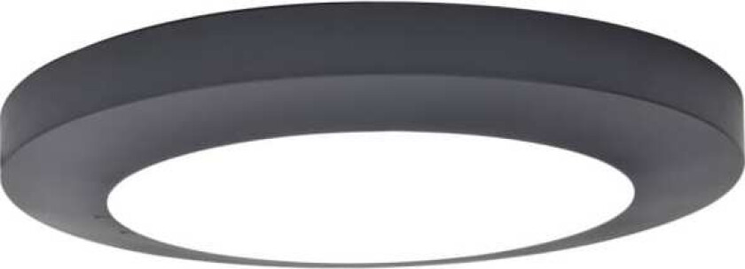 Lutec Kayah Led Wall/Ceiling Grey 6392202457