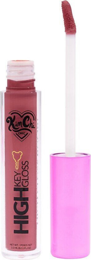 High Key Gloss Full Coverage Lipgloss Summer Plum 3,5