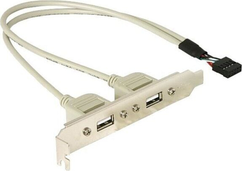 Delock - USB-panel - 10-pins USB-kontakt (hann) til USB (hunn) - 30 cm