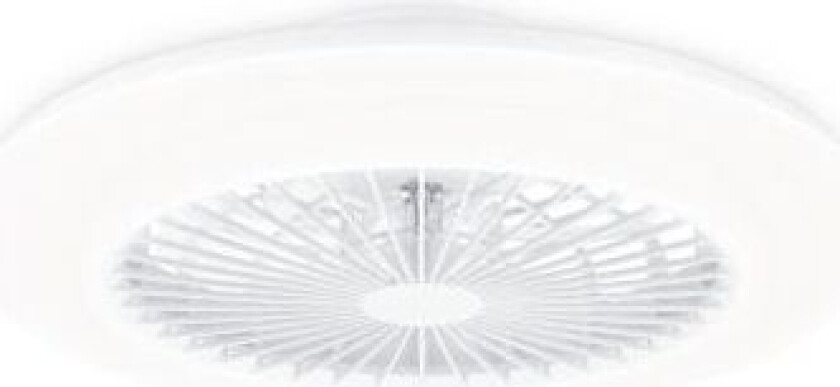 Amigo, Vifte, Rund, Hvit