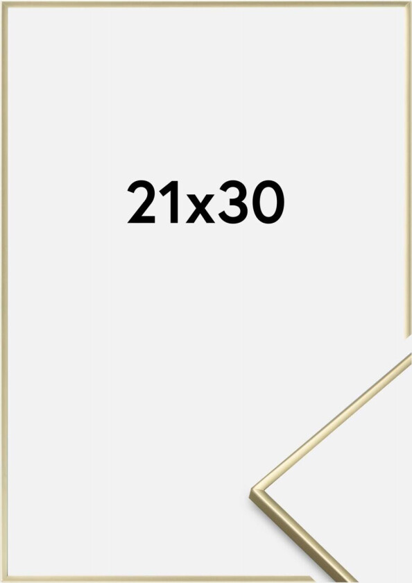 Ramme Slät Metall Gull 21x30 Cm