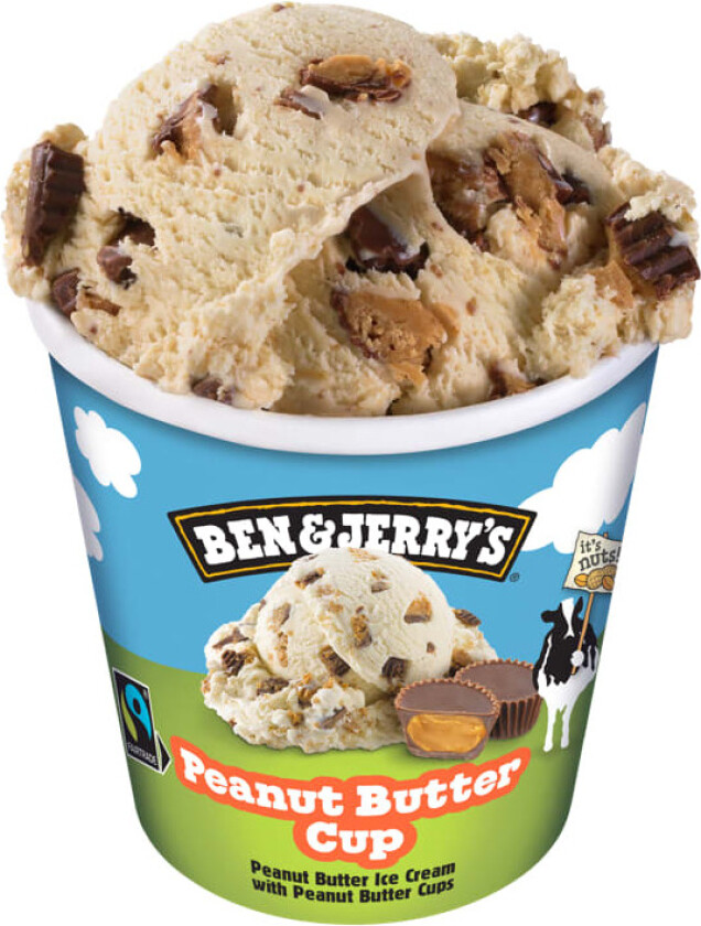 Ben&Jerry's Peanut Butter Cup 465ml