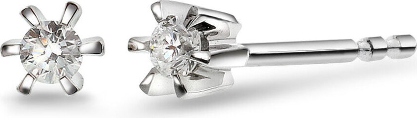Bilde av , Isabella enstens øredobber i 585 hvitt gull med diamant 0,10 ct WSI