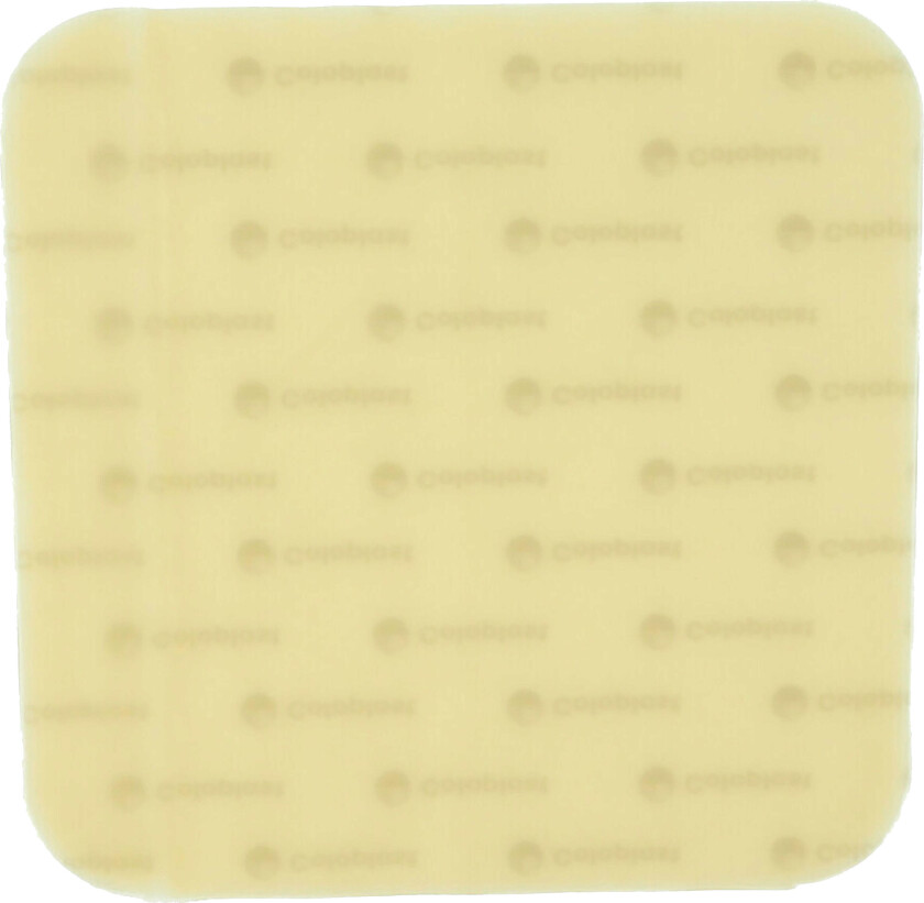 032155 hudbeskyttelsesplate, 5 stk