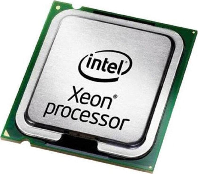 Xeon E3-1505MV6 / 3 GHz processor Prosessor/CPU - 4 kjerner - 3 GHz - FCBGA1440 (Notebook) - Bulk (uten vifte)