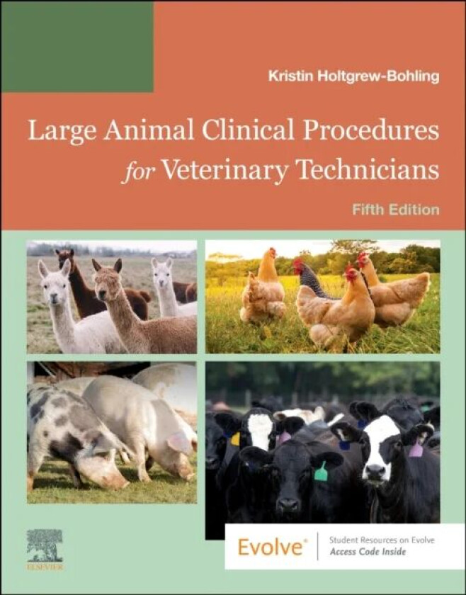 Large Animal Clinical Procedures for Veterinary Technicians av Kristin J. (Instructor Veterinary Technology Program Vatterott College Omaha NE Holtgre